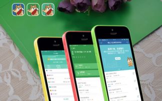 鼎維 教育軟件定制及系統(tǒng)開發(fā)公司