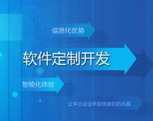 軟件系統(tǒng)定制開(kāi)發(fā)